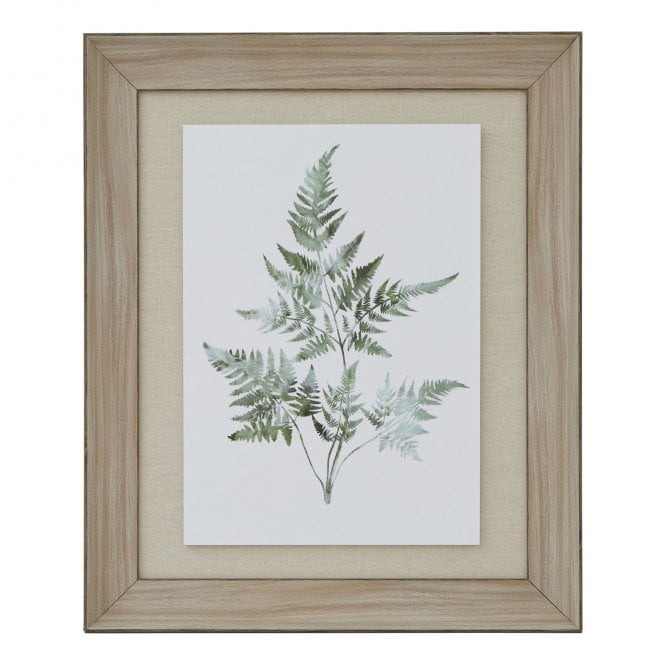Bracken Fern with Wash Wood Frame