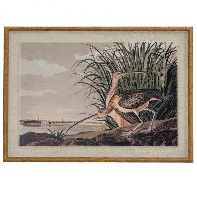 Curlews on Linen