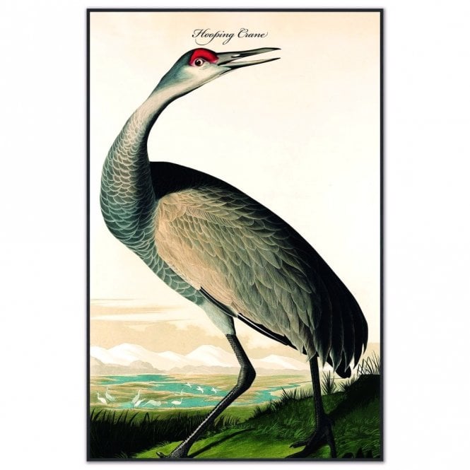 Hooping Crane Velvet Canvas